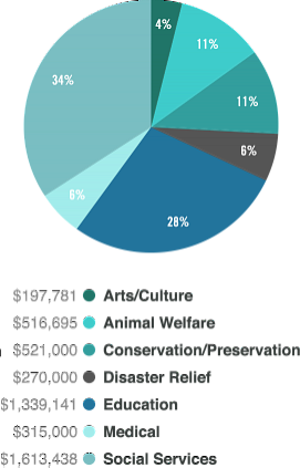 Foundation Grants by Category